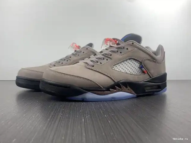 TB Low DX6325-204 Jordan PSG Air x 5 0509